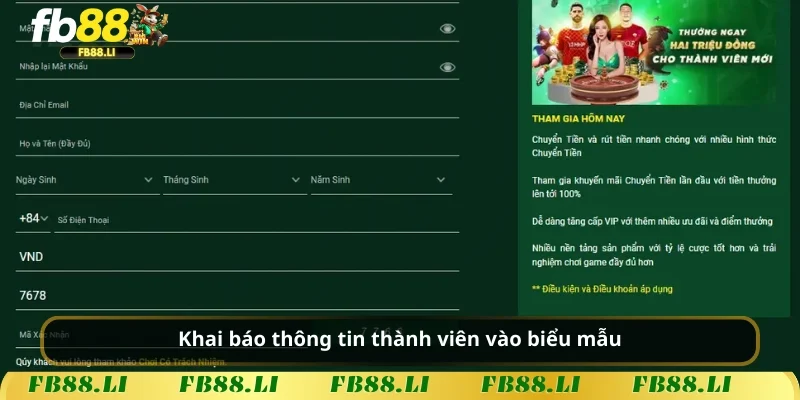 Khai báo thông tin thành viên vào biểu mẫu